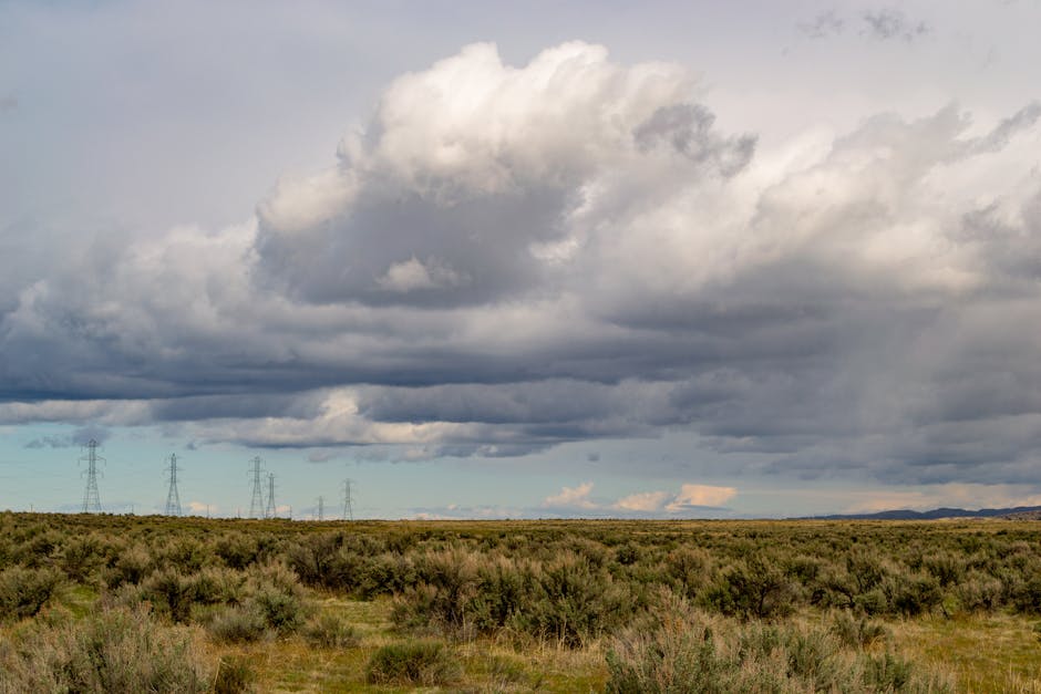 Ligne à très haute tension Fos-sur-Mer : un projet contesté entre réindustrialisation et protection de la Camargue