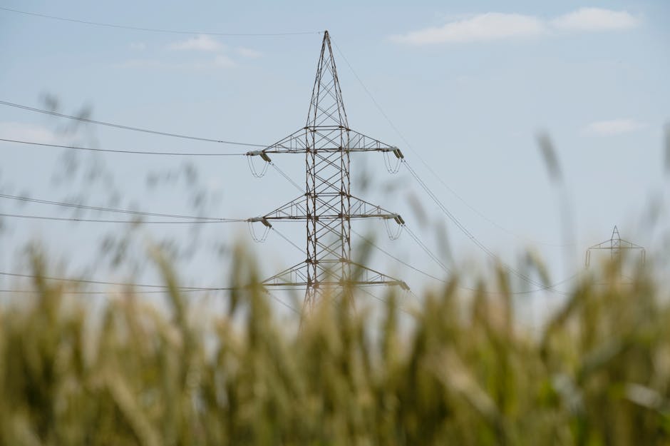 Prix négatifs de l’électricité en France : une tendance structurelle qui s’installe en 2026