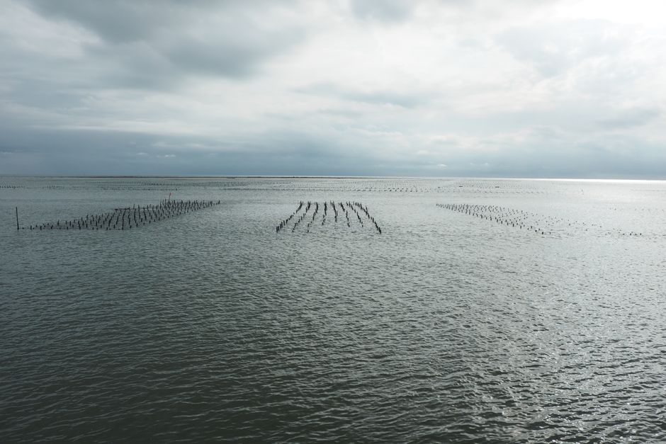 Une table conchylicole flottante solaire testée dans la lagune de Thau