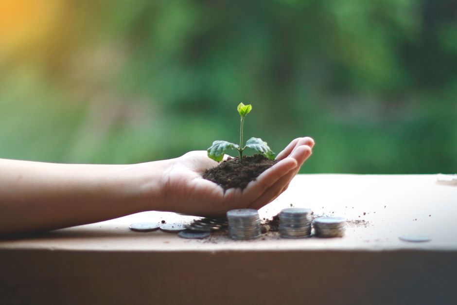 GreenUnits : la nouvelle filiale de Nerius Invest pour les projets de décarbonation de 2 à 10 millions d’euros