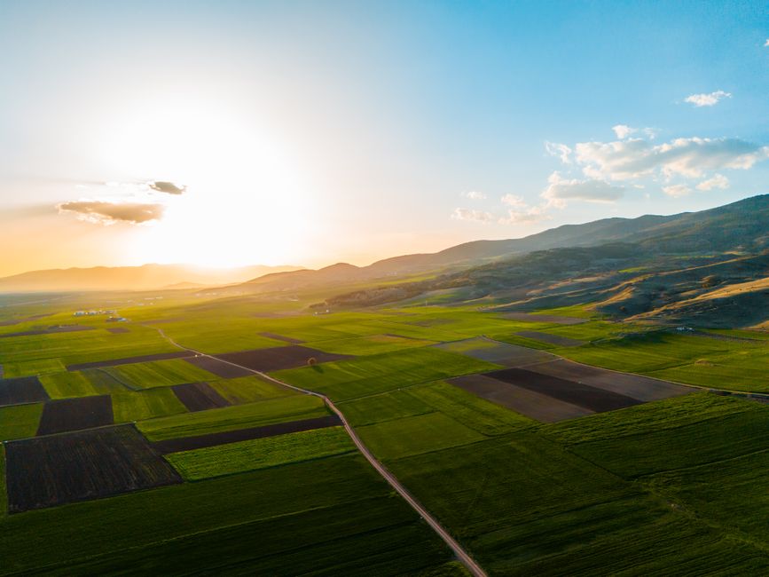 Huit centrales solaires au sol sur des friches agricoles dans le Grand Est