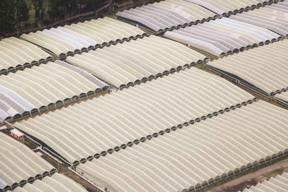 Serre agrivoltaïque dans le Maine-et-Loire : REDEN allie production maraîchère et énergie solaire