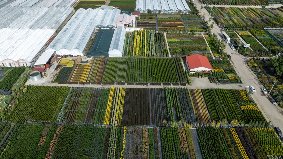 Reden inaugure sa première serre agrivoltaïque dans le Maine-et-Loire