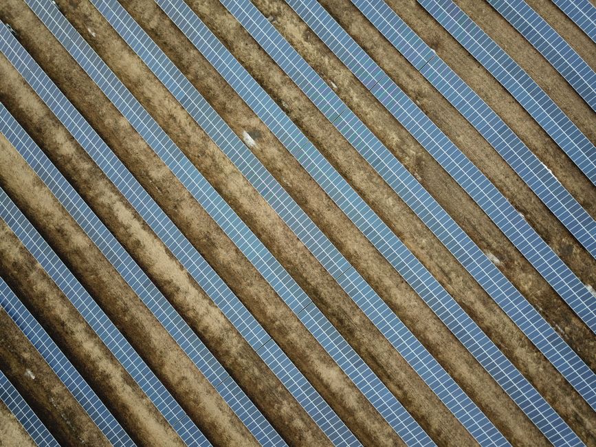 Serres agrivoltaïques : comment REDEN booste l'agriculture biologique avec l'énergie solaire