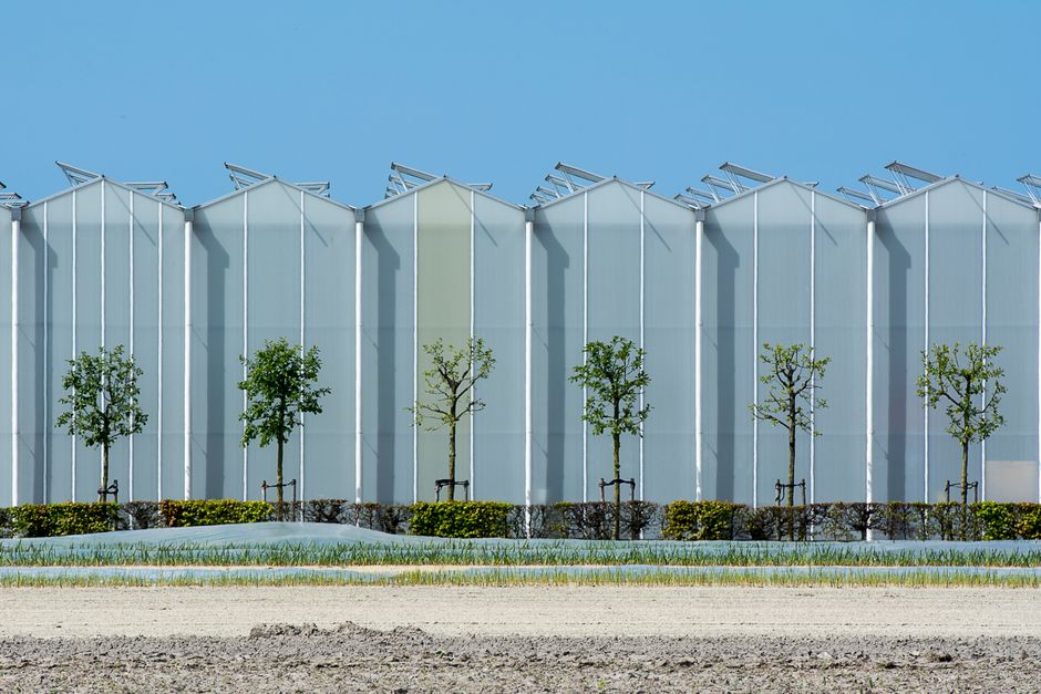 Cinq nouveaux projets agrivoltaïques en Lot-et-Garonne portés par Galileo énergies nouvelles