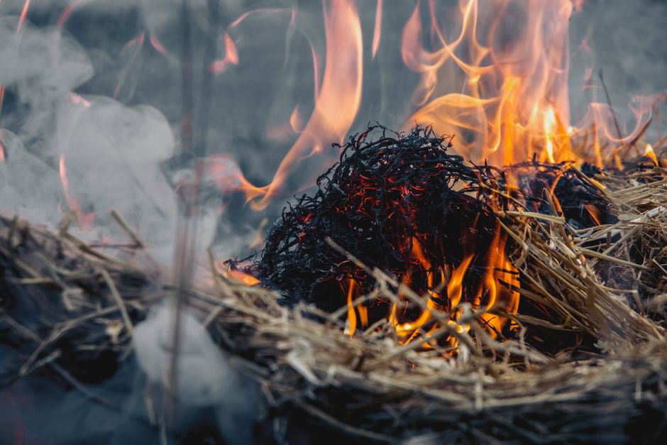 Centrale solaire de Cestas : comment 300 MWc ont résisté aux flammes en Gironde