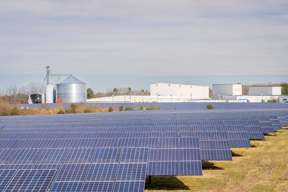CVE lève 350 millions d'euros pour accélérer sa croissance solaire et agrivoltaïque