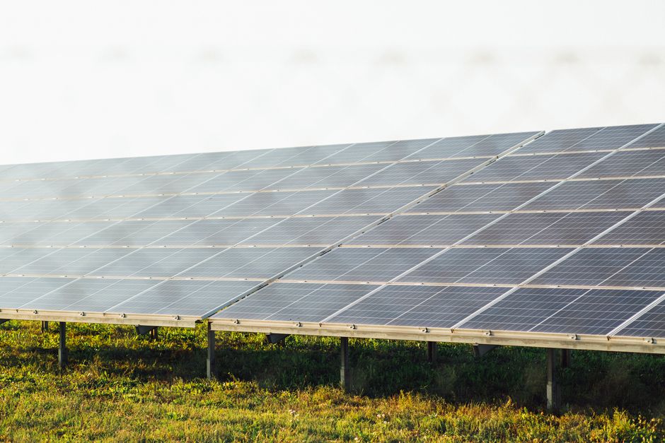 Deux nouvelles centrales agrivoltaïques en Côte-d'Or : un pari gagnant pour l'agriculture et le solaire