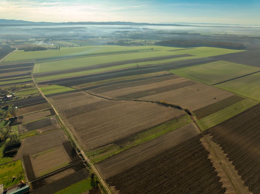 Agrivoltaïsme et photovoltaïque agricole : les Chambres d'agriculture interpellent l'État sur l'avenir de la filière