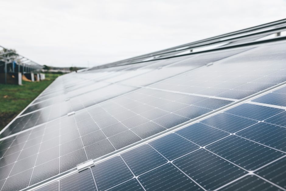 Agrivoltaïsme dans le Roussillon : les ombrières photovoltaïques, un rempart inattendu pour la vigne face à la chaleur