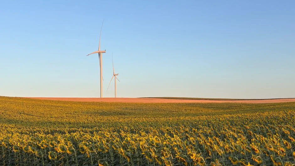 Glint Solar ouvre la recherche de foncier solaire à la parcelle