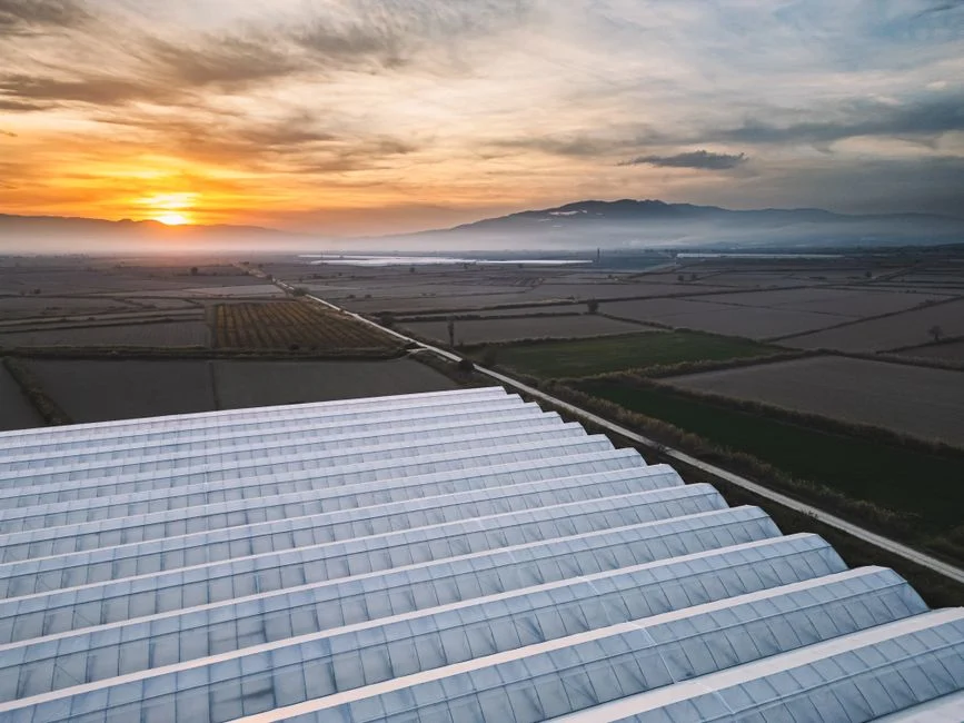 Agrivoltaïsme : une charte pour organiser la coactivité