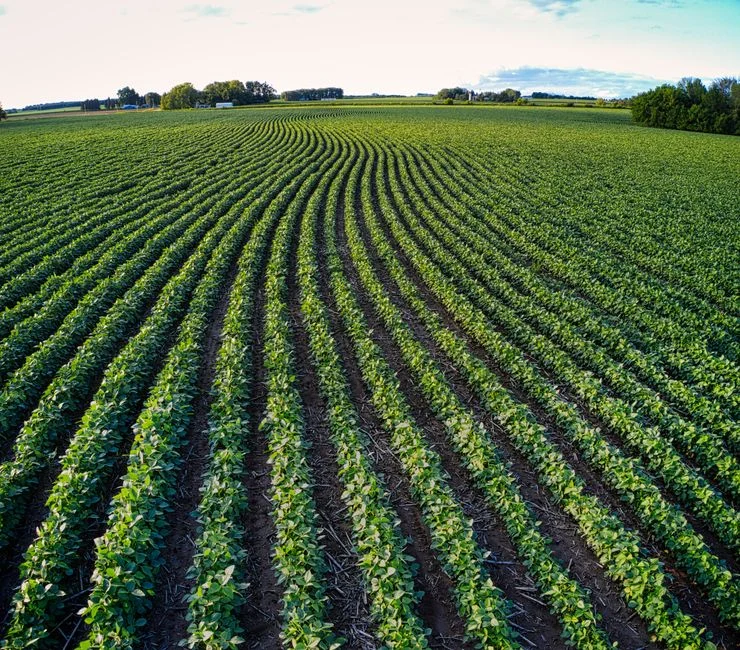 Seine-et-Marne : 500 000 € pour 60 projets agricoles