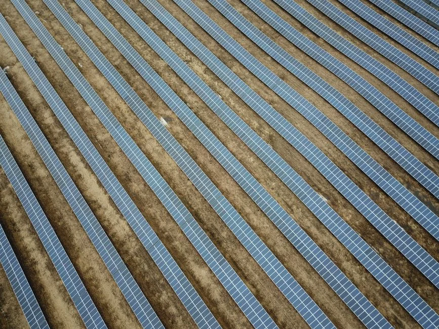 Boralex met en service près de 50 MW en France, dont un agrivoltaïsme sur kiwis