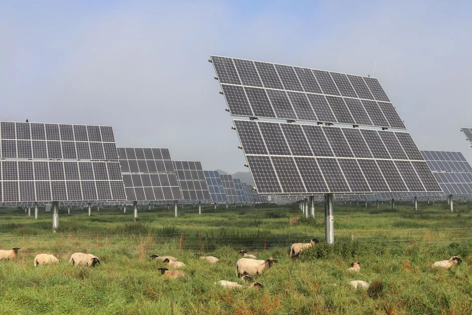 Nothi : Eurowind prépare 50 MWc d’agrivoltaïsme sur trackers en Côte-d’Or