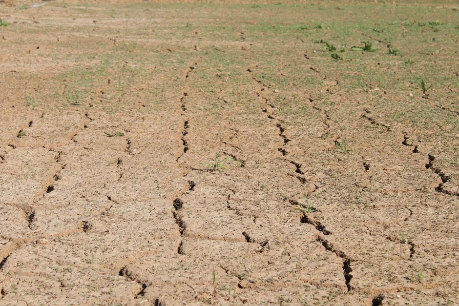Changement climatique : le réseau Cler réclame une garantie d’habitabilité pour tous les territoires