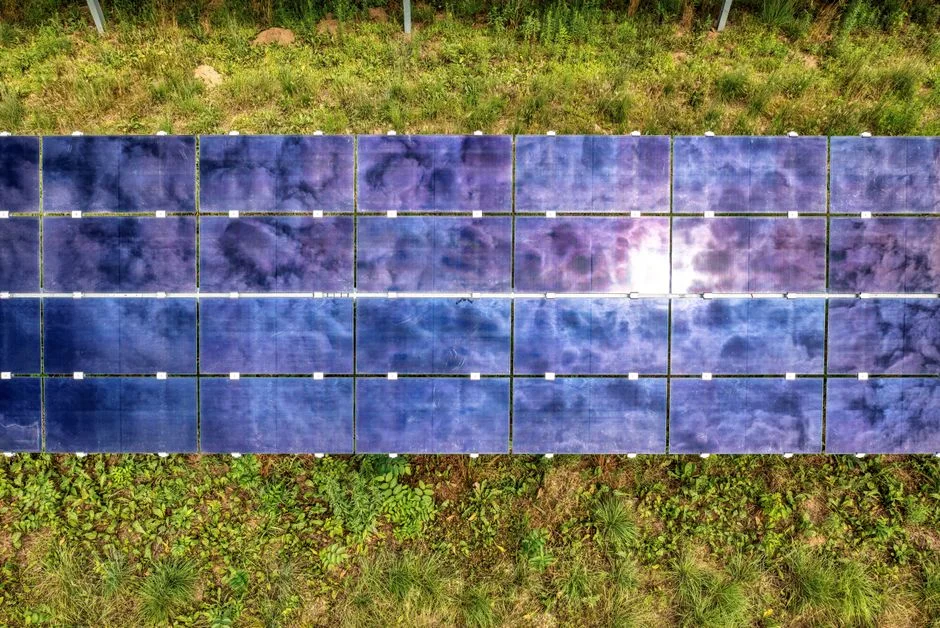 Appels d’offres solaires : le photovoltaïque au sol tombe à près de 60 €/MWh