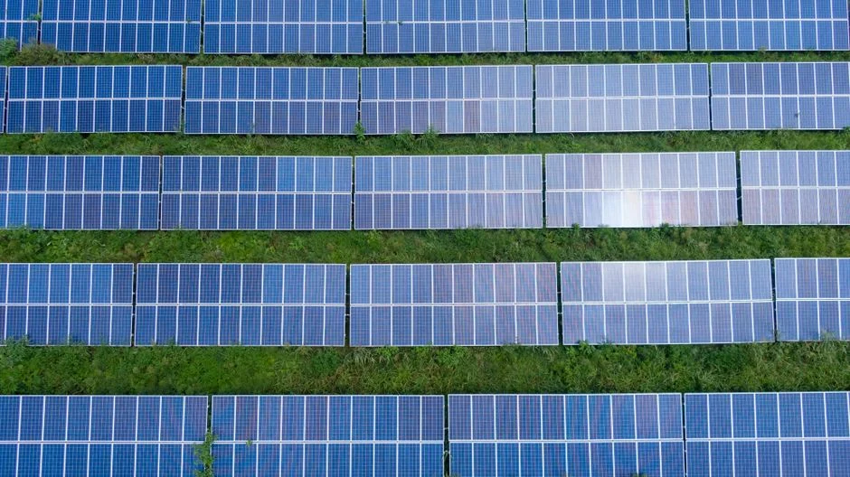 Presnoy : dans le Loiret, une centrale solaire de 26 MWc sert aussi d’abri aux brebis