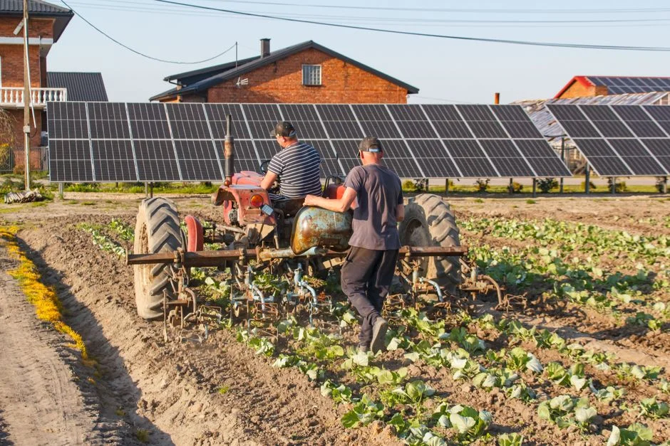 Agrivoltaïsme et vigne : AgriPower présente ses premiers résultats à Nîmes le 22 octobre