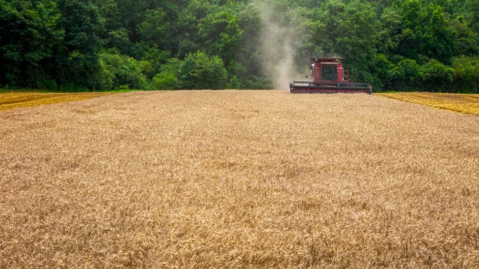 Agrivoltaïsme : Électricité d’Azur et la coopérative Valfrance s’allient pour des projets de 15 à 20 hectares