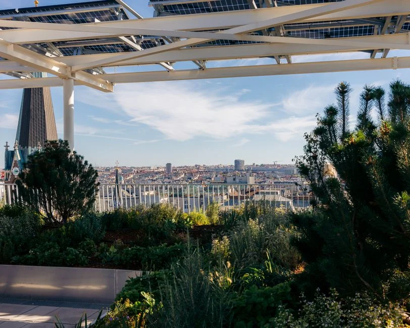 Canopée des Halles : Paris lance le chantier d’une centrale solaire de 1 700 m² en autoconsommation collective
