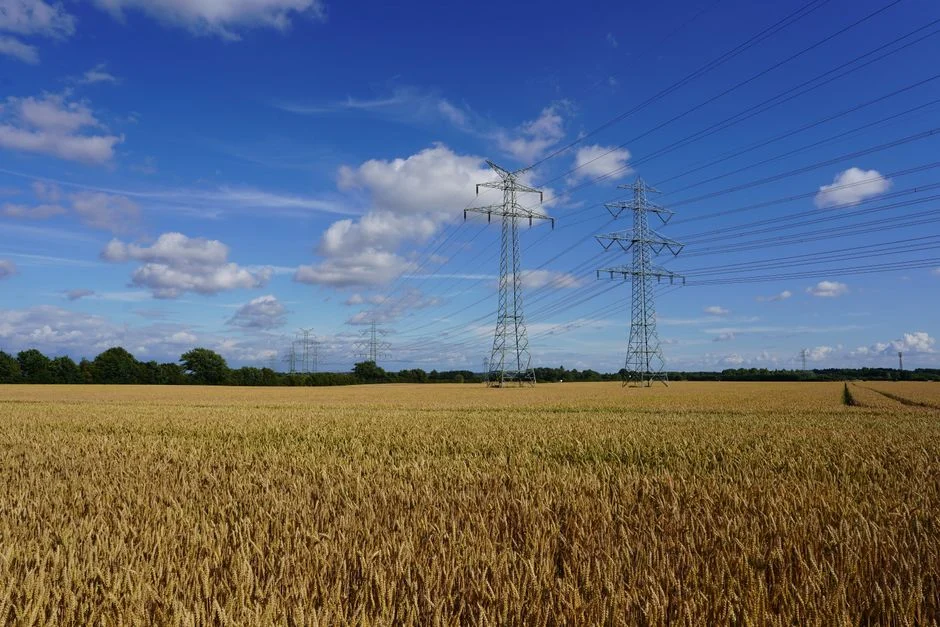 Agrivoltaïsme : à Bordeaux, la filière européenne bute sur la réglementation et le financement
