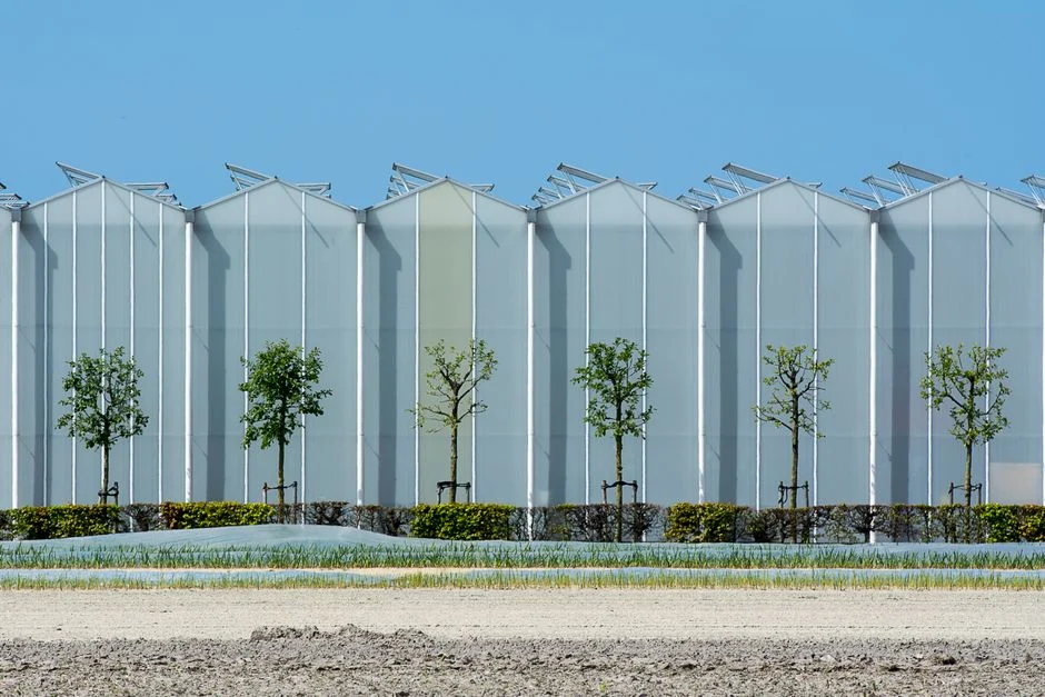 Agrivoltaïsme dans l’Aude : une collecte citoyenne de 854 000 euros pour les serres solaires de Puichéric