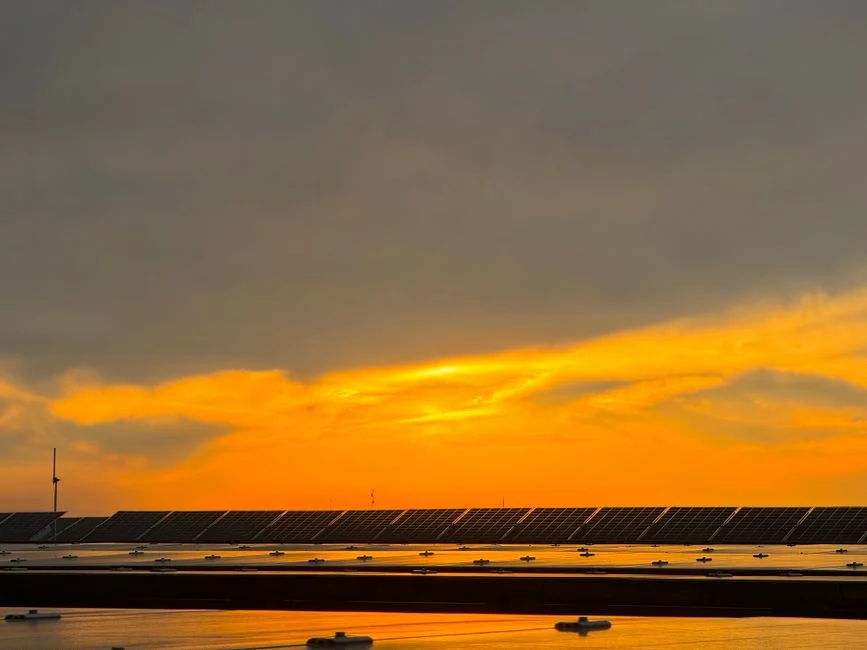 SunPower Origin : TCL SunPower présente en France un panneau à contacts arrière de 505 W